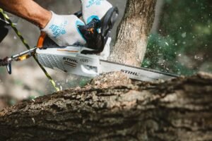 STIHL Baumpflegesäge MS 194 T, PM3, Schienenlänge 35cm – Bild 3