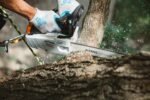 STIHL Baumpflegesäge MS 194 T, PM3, Schienenlänge 30cm – Bild 4