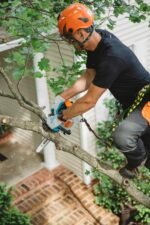 STIHL Baumpflegesäge MS 151 TC-E, PM3, Schienenlänge 30cm – Bild 6