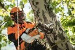 STIHL Akku-Baumpflegesäge MSA 161 T, Schienenlänge 25cm ohne Akku und Ladegerät – Bild 6
