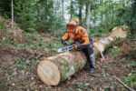 STIHL Sägekette 3/8" Rapid Hexa (RH), 1,6 mm, 63 cm – Bild 6