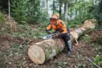 STIHL Upgrade Kit 4 HEXA 36RH72 / 50 cm – Bild 8