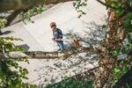 STIHL Hoch-Entaster HT 135 – Bild 3
