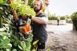 STIHL Benzin-Heckenschere HS 82 T, Schnittlänge 60 cm – Bild 5