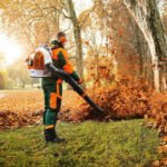 STIHL Rückentragbares Blasgerät BR 700 – Bild 2
