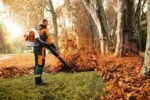 STIHL Rückentragbares Blasgerät BR 700 – Bild 5