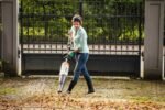 STIHL Laubbläser-Aufsatz für Kombimotor BG-KM – Bild 4